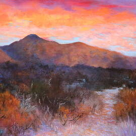 Arizona Sunset 3 by M Diane Bonaparte