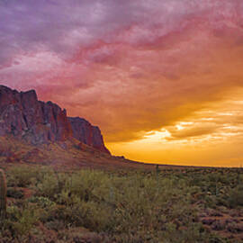 Arizona Sunset