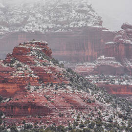 Arizona Winter by Racheal Christian