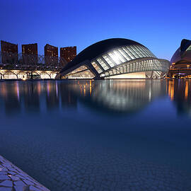 Arts and Science Museum Valencia by Graham Hawcroft pixsellpix