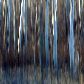 Aspen Blues by Bill Morgenstern