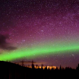 Aurora Star Sky by Steve  Milner