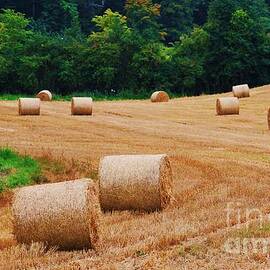 Harvest Time, Ireland by Poet's Eye