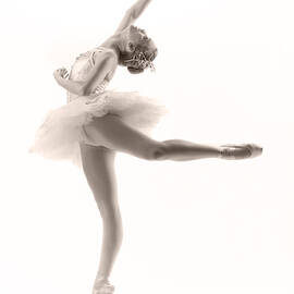 Ballerina Arabesque by Steve Williams