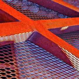 Barrier Abstract by Bonnie See