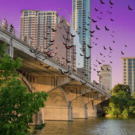 Bats over Austin by Juli Scalzi