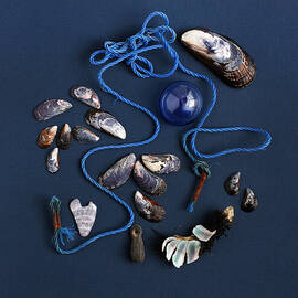 Beach Finds in Blue by Art Block Collections