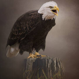 Begin Doing - Eagle Art by Jordan Blackstone