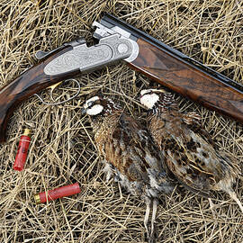 Beretta 28 Gauge - D005559 by Daniel Dempster