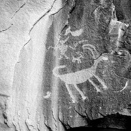 Big Horn Sheep Petroglyph 2 - Nine Mile Canyon - Utah by Gary Whitton