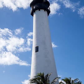 bill baggs lighthouse cape florida state park palm trees