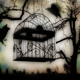 Birdcage by Gothicrow Images