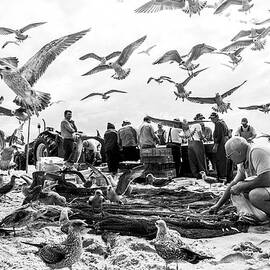 Birds by Liesbeth Van Der Werf