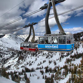 Blue And Red Snowbird Trams by Adam Jewell
