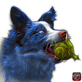 Blue Border Collie - Elska -  9847 - WB by James Ahn