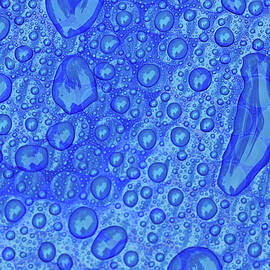 Blue Bubbles by Debbie Oppermann