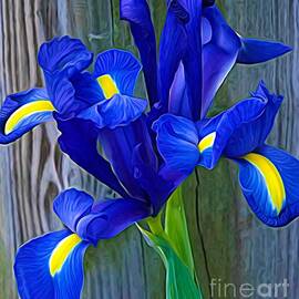 Blue Iris with Expressionistic Effect