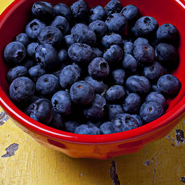 Blueberries in red bowl by Garry Gay
