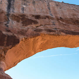 Bottom's Up by Tom Cochran