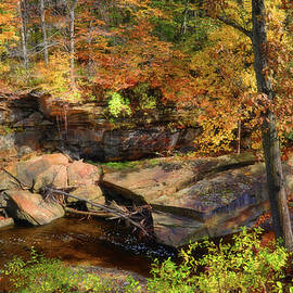 Autumn Boulders And Water by Reese Lewis