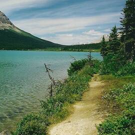 Bow Lake Path