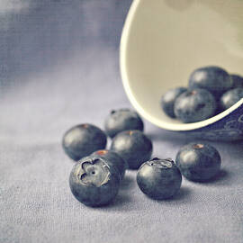 Blueberry Photographs