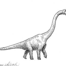 Brachiosaurus Dinosaur Black and White Dino Drawing  by K Whitworth