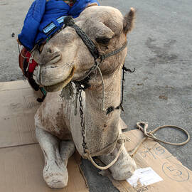 Break Time by Munir Alawi