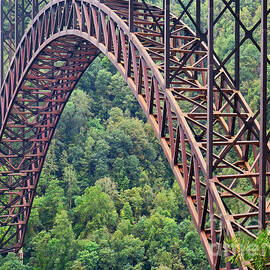 Bridge of Trees by Rick Locke - Out of the Corner of My Eye