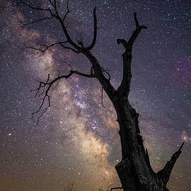 Broken by Aaron J Groen