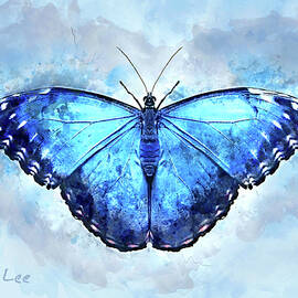 Butterfly, Flutter By
