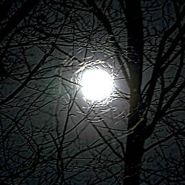 By the Light of the Perigee Moon