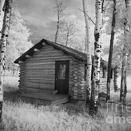 Cabin Among the Trees by Ken Andersen