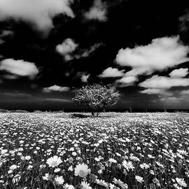 calm morning by Stelios Kleanthous