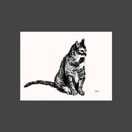 Cat 2 by Uma Krishnamoorthy