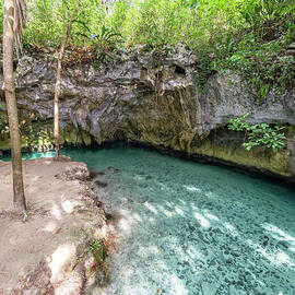 Cenote near Tulum, Mexico by Jess Kraft