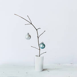 Charlie Brown Christmas Tree by Kim Hojnacki