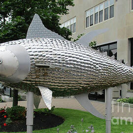 Charlottetown Fish 1 by Randall Weidner