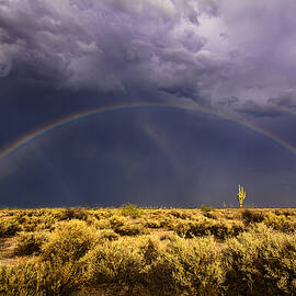 Chasing The Desert Rainbow  by Saija  Lehtonen