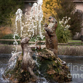 Otters in the Garden by Doc Braham
