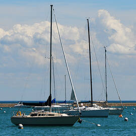 Chicago Harbour - Detail by Richard Andrews