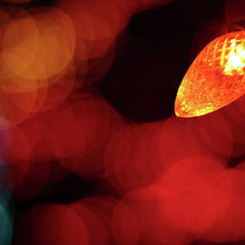 Christmas Light by David Diaz