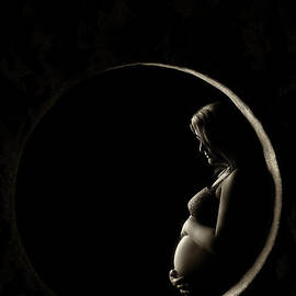 Circle of Life by Johan Swanepoel