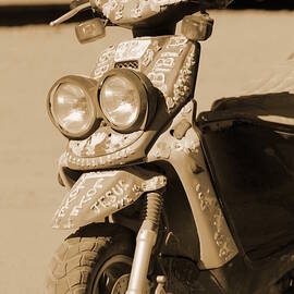 Closeup of Jesus Scooter in Sepia by Colleen Cornelius