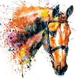 Colorful Horse Head by Marian Voicu