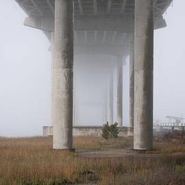 Columns of Fog by Dale Powell