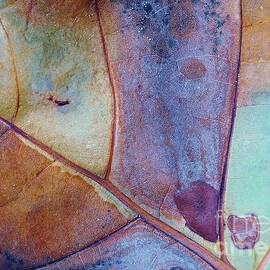 Copper Patina by John Clark