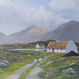 Cottages In Maam by Cathal O malley