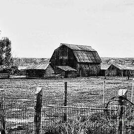 Country Barn 1 by Chris Berry