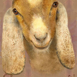 Country Charms Nubian Goat with Bright Eyes by Nancy Lee Moran